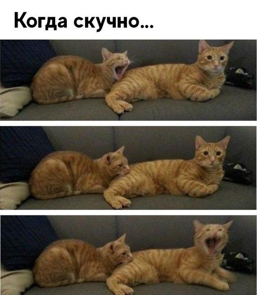 дд г_ Ч