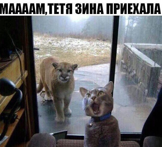 МАМАМТЕТП ЗИНА ПРИЕХАЛД