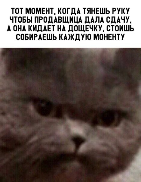 ТОТ МОМЕНТ КОГДА ТЯНЕШЬ РУКУ ЧТОБЫ ПРПДАВЩИЦА дАЛА СДАЧУ А ОНА КИДАЕТ НА дОЩЕЧКУ СТОИШЬ СОБИРАЕШЬ КАЖДУЮ МОНЕНТУ