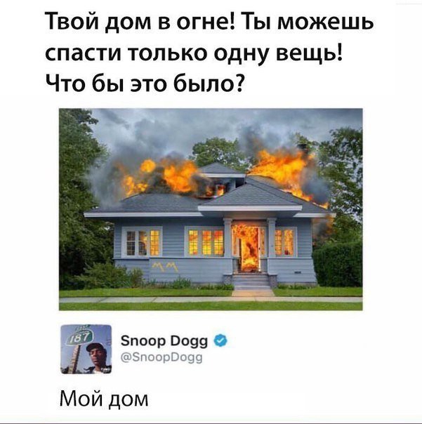 Твой дом в огне Ты можешь спасти только одну вещь Что бы это было