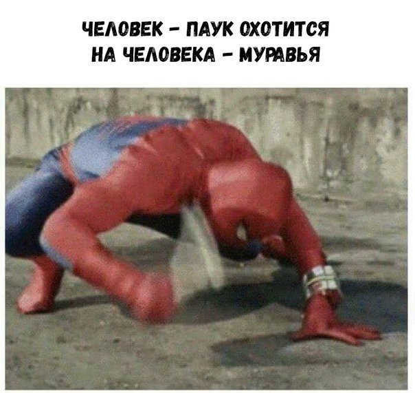 ЧЕАОВЕК ПАУК 0Х0ТИТСЯ НА ЧЕЛОВЕКА МУРАВЬЯ
