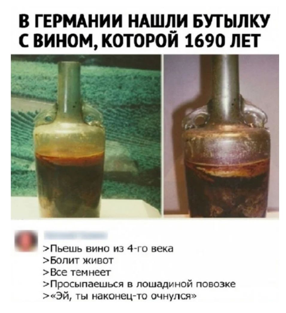 В ГЕРМАНИИ НАШДИ БУТЫЛКУ С ВИНОМ КОТОРОМ 1690 ЛЕТ Пьешь вино из 4го века Бопит живот Все темнеет Просыпаешься в лошадиной повозке Эй ты наконец то очнулся