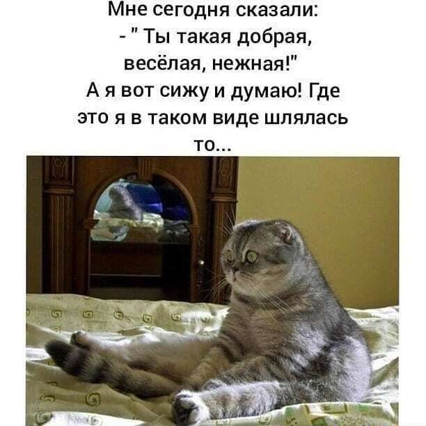 Мне сегодня сказали Ты такая добрая весёлая нежная А я вот сижу и думаю Где это я в таком виде шпялась