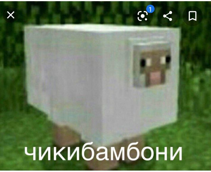 чики бони