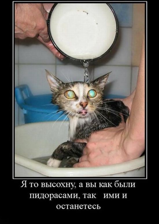 Я ТО ВЫСОХНУ а ВЫ как были ПИДОРЗСЗМИ ТЗК ИМИ И останетесь