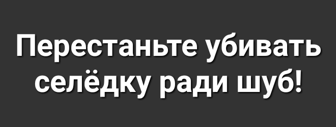 Перестаньте убивать селёдку ради шуб