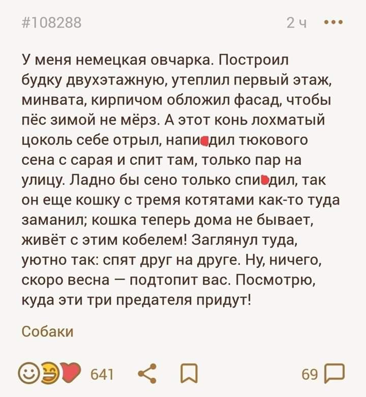 5108288 2х1 и УменянемецкаяовчаркаПостроил будку двухэтажную утеплил первый этаж минватакирпичом обложигіфасадчтобы пёс зимой не мёрз А этот конь лохматый цокольсебеотрылнапидилтюкового сена с сарая и спит там только пар на улицуЛаднобьисенотолькоспидилтак он еще кошку с тремя котятами както туда заманилкошкатеперьдоманебьшаеъ живёт с этим кобелем Заглянул туда уютно так спят друг на друге Ну ниче