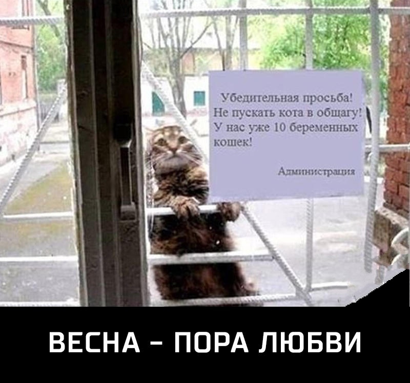 ВЕСНА ПОРА ЛЮБВИ