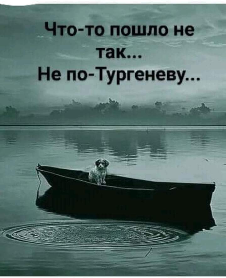 Что то пошло не так Не по Тургеневу