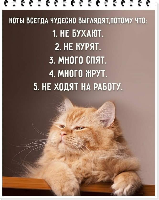 РФФФФФФФФФФФФФФФФФ НОТЫ ВСЕГДА ЧУДЕБНОБЫТ115_17_іпиш т