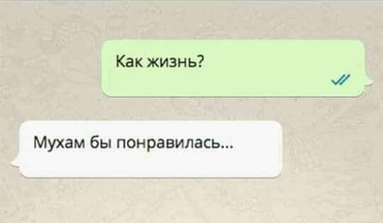 Как жизнь