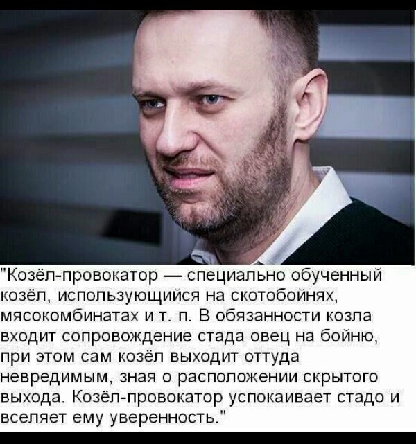 _ Козел провокатор специально обученныи козёл использующиися на скотобоинях мясокомбинатах и т п В обязанности козла входит сопровождение стада овец на боио при этом сам козёл выходит оттуда невредимым зная о расположении скрытого выхода Козел провокатор успокаивает стадо и вселяет ему уверенность