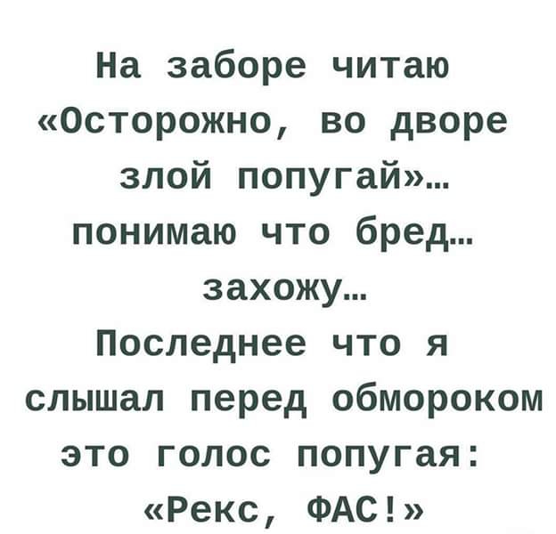 На заборе читаю Осторожно во дворе злой попугай понимаю что бред захожу Последнее что я слышал перед обмороком это голос попугая Рекс ФАС