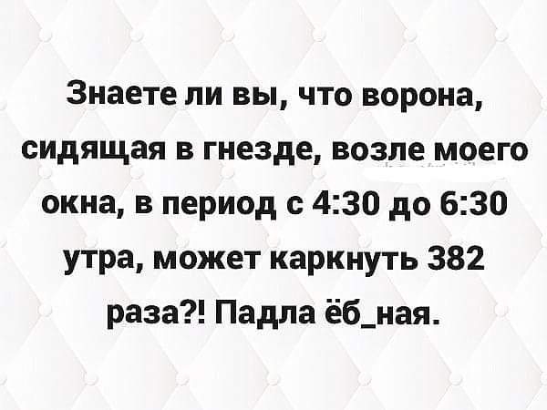 Знаете ли вы что ворона сидящая в гнезде возле моего окна в период с 430 до 630 утра может каркнуть 382 раза Падла ёб_ная