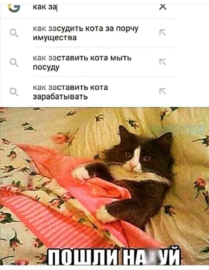 а как ЗЧ как засудить кота за порчу имущества как заставить кота мыть ПОСУдУ как заставить кота зарабатывать
