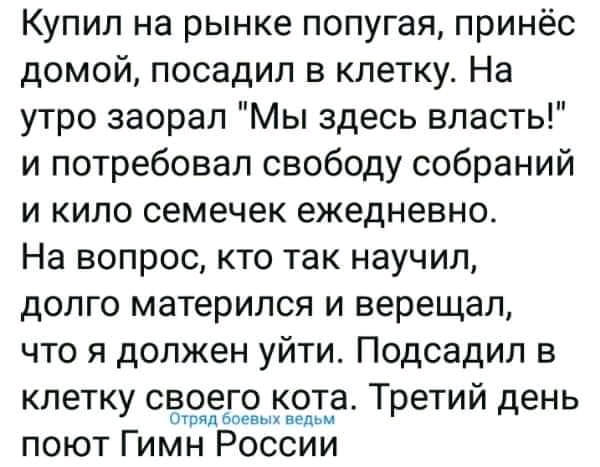 Купил на рынке попугая принёс домой посадил в клетку На утро заорал Мы здесь власть и потребовал свободу собраний и кило семечек ежедневно На вопрос кто так научил долго матерился и верещал что я должен уйти Подсадил в клетку своего кота Третий день отряд Ьпевьп ведьм поют Гимн России