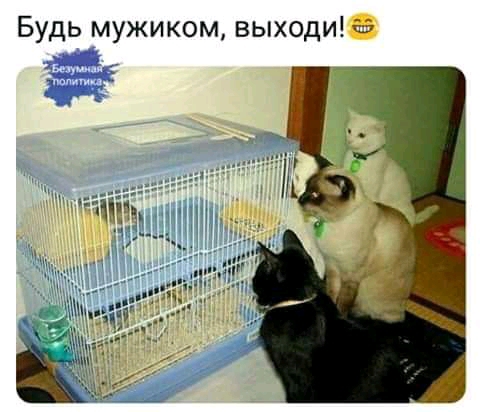 Будь мужиком выходи ё