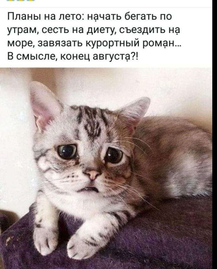 Планы на лето начать бегать по утрам сесть на диету съездить на море завязать курортный роман В смысле конец августа