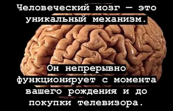 Человеческий Заойзг это ___нцды уникальныи механизм Он непрерывно _ тг функционирует с момента _в в вашего рождения И до ПОКУПКИ телевизора