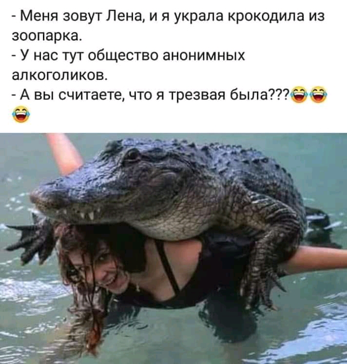 Меня зовут Лена и я украла крокодила из зоопарка У нас ТУТ общество анонимных аЛКОГОЛИКОВ А вы считаете что я трезвая былаё