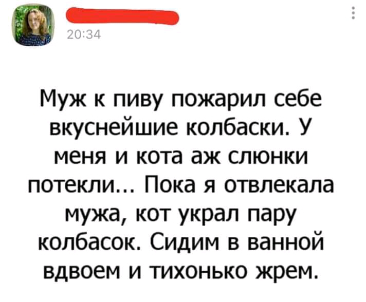 Муж к пиву пожарил себе вкуснейшие колбаски У меня и кота аж слюнки потекли Пока я отвлекала мужа кот украл пару колбасок Сидим в ванной вдвоем и тихонько жрем