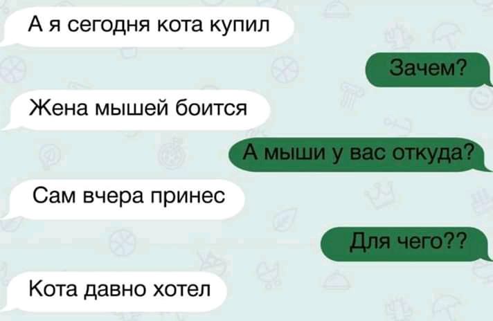 А Я СЕГОДНЯ КОТЭ КУПИЛ Жена мышей боится Сам вчера принес Кота давно хотел
