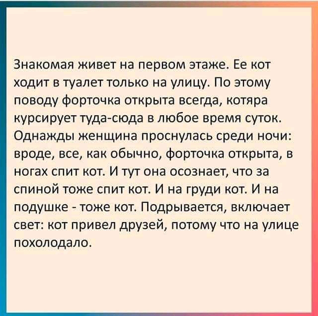 Знакомая живет на первом этаже Ее кот ходит в туалет только на улицу По этому поводу форточке открыта всегда котяра курсирует тудасюда в любое время суток Однажды женщина проснулась среди ночи вроде все как обычно форточка открыта в ногах спит кот И тут она осознает что за спиной тоже спит кот И на груди кот И на подушке тоже кот Подрывается включает свет кот привел друзей потому что на улице похо