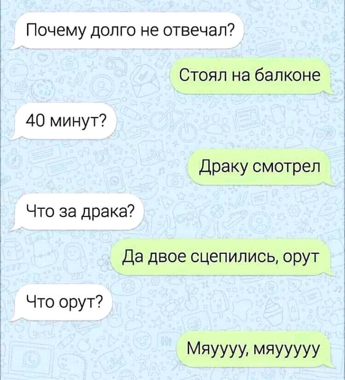 Почему долго не отвечал 169 16 40 минут Что за драка дёттшимкоз 9311 Что орут