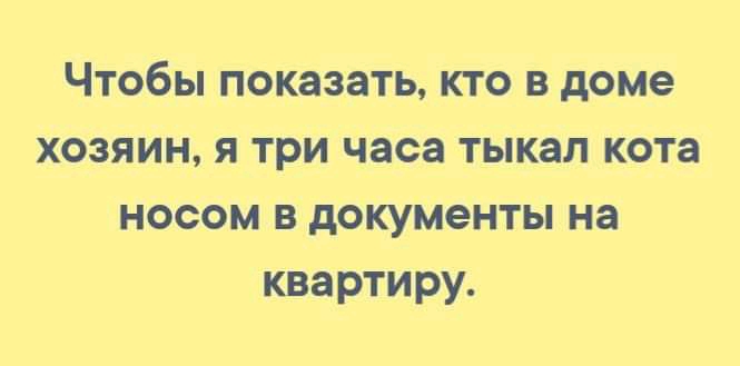 Чтобы показать кто в доме хозяин я три часа тыкал кота носом в документы на квартиру