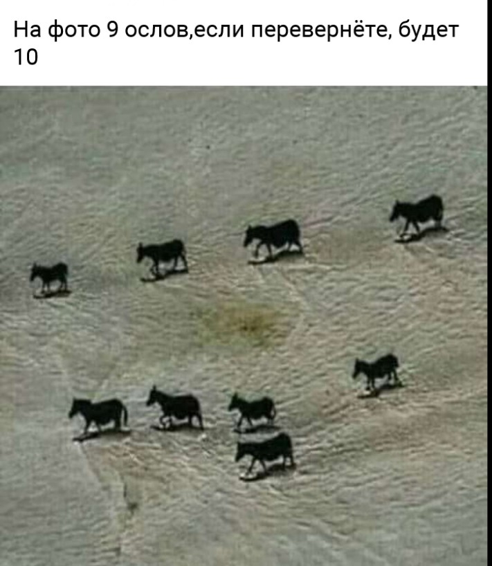 На фото 9 ословесли перевернёте будет 10