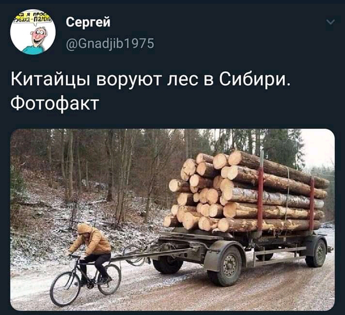 Сергей СпасіііЬ1975 Китайцы воруют лес в Сибири Фотофакт
