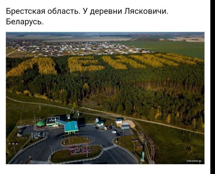 Брестская область У деревни Лясковичи Беларусь
