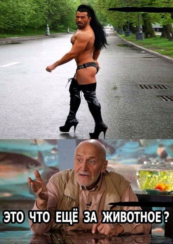 это что ЕЩЁ зА животное