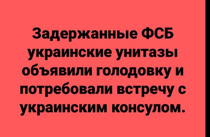 Задержанные ФСБ украинские унитазы объявили голодовку и потребовали встречу с украинским консулом