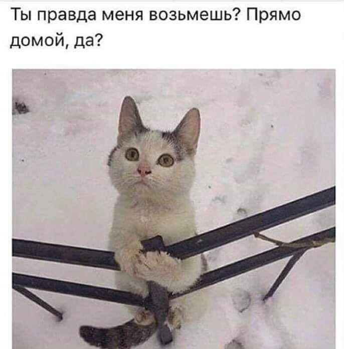 Ты правда меня возьмешь Прямо домой да