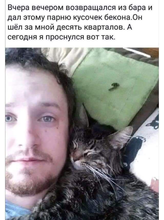 Вчера вечером возвращался из бара и Эдап этому парню кусочек беконаОн шёл за мной десять кварталов А сегодня я проснулся вот так
