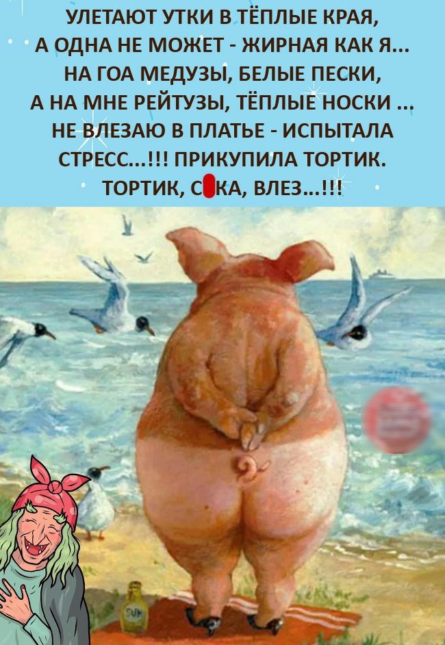 УЛЕТАЮТ УТКИ В ТЁПЛЫЕ КРАЯ А ОДНА НЕ МОЖЕТ ЖИРНАЯ КАК Я НА ГОА МЕДУЗЫ БЕЛЫЕ ПЕСКИ А НА МНЕ РЕЙТУЗЫ ТЁПЛЫЕ НОСКИ НЕ ВЛЕЗАЮ В ПЛАТЬЕ ИСПЫТАЛА СТРЕСС ПРИКУПИЛА ТОРТИК ТОРТИК СКА ВЛЕЗ