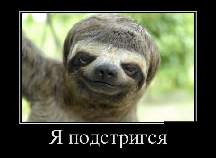 Я подстригся