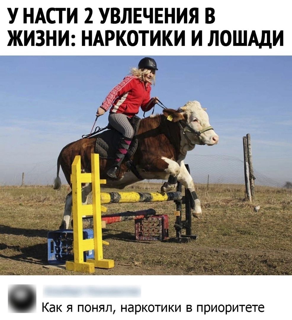У НАСГ И 2 УВЛЕЧЕНИЯ В ЖИЗНИ НАРКОТИКИ И ЛОШАДИ Как Я ПОНЯЛ наркотики В приоритете