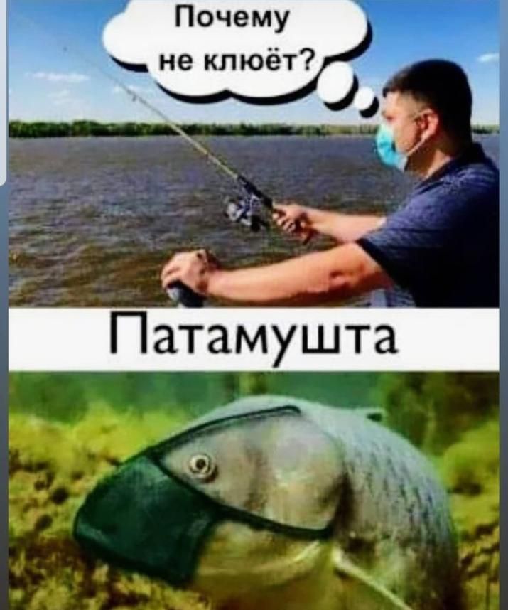 Почему не клюёт А