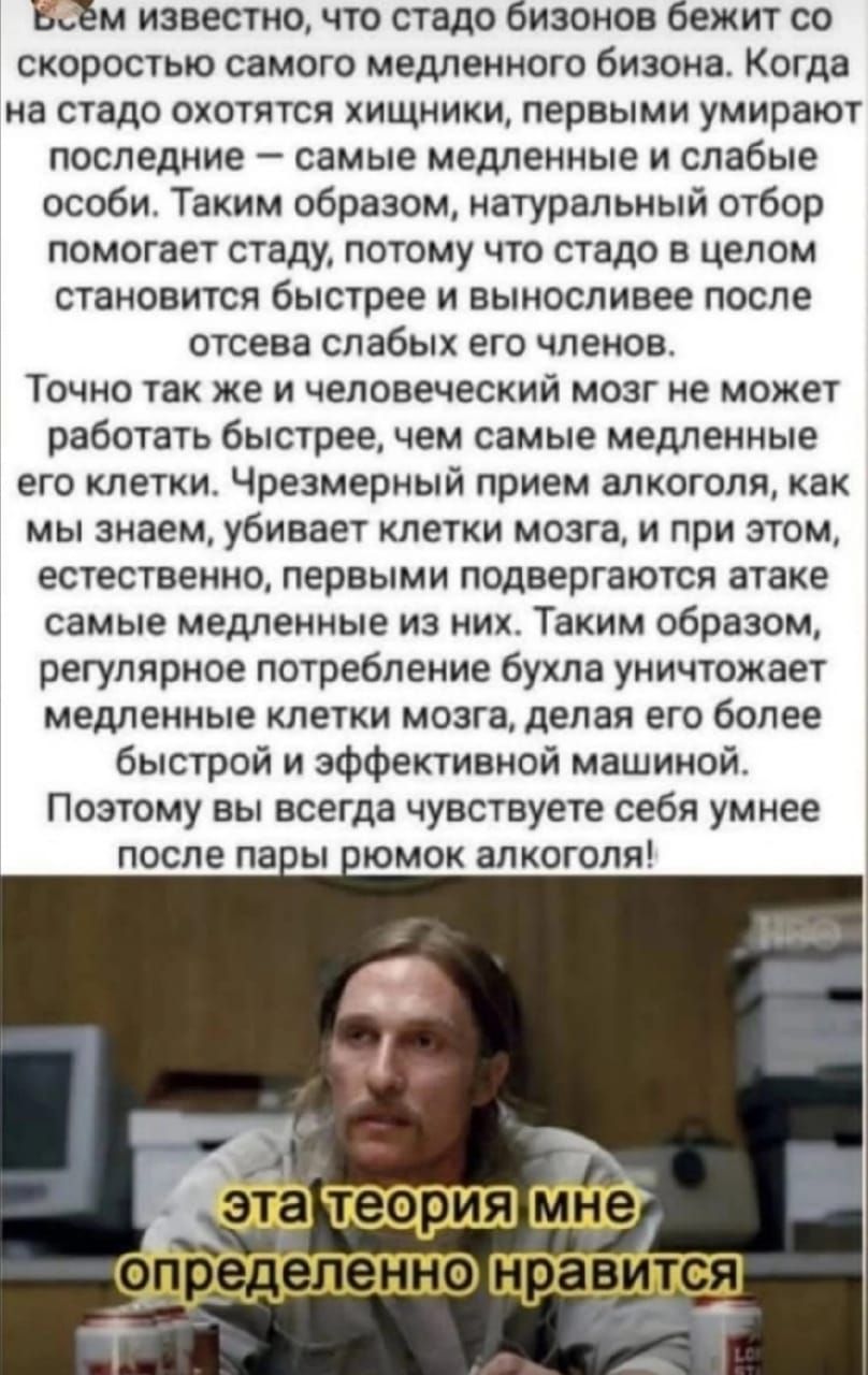 Бсем известно, что стадо бизонов бежит со скоростью самого медленного бизона. Когда на стадо охотятся хищники, первыми умирают последние  самые медленные и слабые особи. Таким образом, натуральный отбор помогает стаду, потому что стадо в целом становится быстрее и выносливее после отсева слабых его членов. Точно так же и человеческий мозг не может работать быстрее, чем самые медленные его клетки. Чрезмерный прием алкоголя, как мы знаем, убивает клетки мозга, и при этом, естественно, первыми подвергаются атаке самые медленные из них. Таким образом, регулярное потребление бухла уничтожает медленные клетки мозга, делая его более быстрой и эффективной машиной. Поэтому вы всегда чувствуете себя умнее после пары рюмок алкоголя!