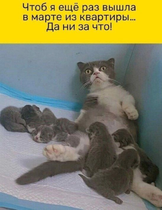 Чтоб я ещё раз вышла в марте из квартиры Да ни за что
