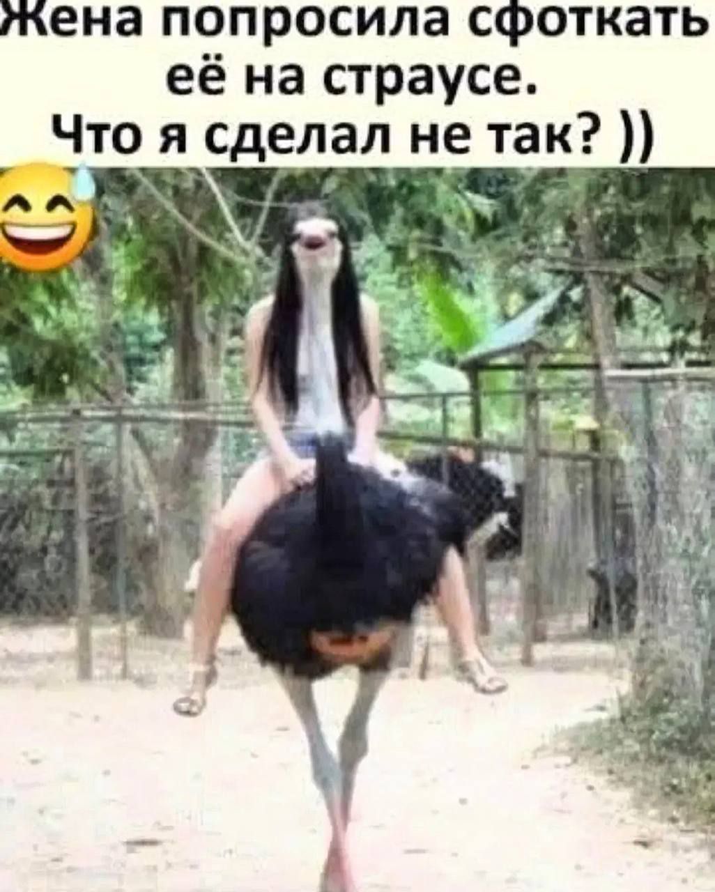 Жена попросила сфоткать её на страусе. Что я сделал не так? ))