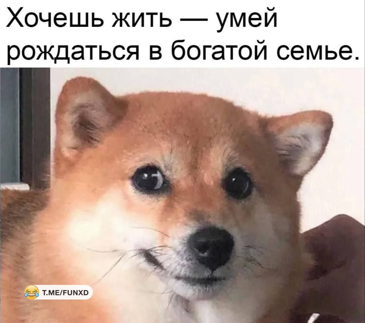Хочешь жить — умей рождаться в богатой семье.