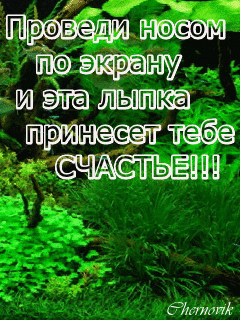 ти ци Ё и Тк счдстьвиии тнт