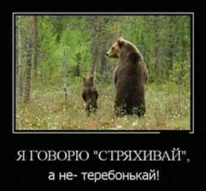 Я ГОВОРЮ СТРЯХИВАЙ а не теребонжай