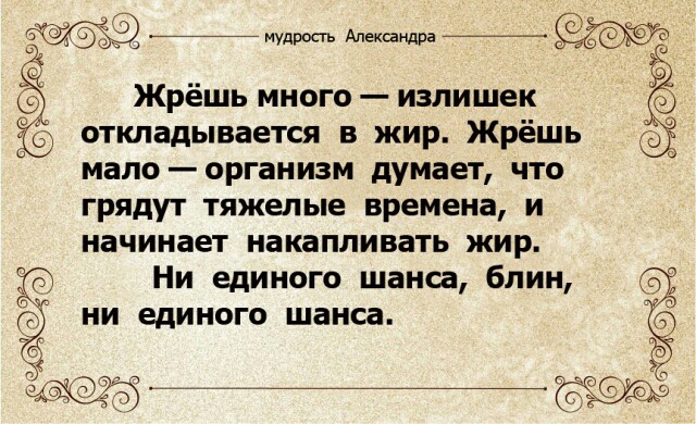 мудрость Александра мало организм думает что грядут тяжелые времена и начинает накапливать жир Ни единого шанса блин Жрешь МНОГО _ излишек ОТКЛЗДЫБЗЕТСЯ В ЖИР ЖРёШЬ НИ единого шанса Ы