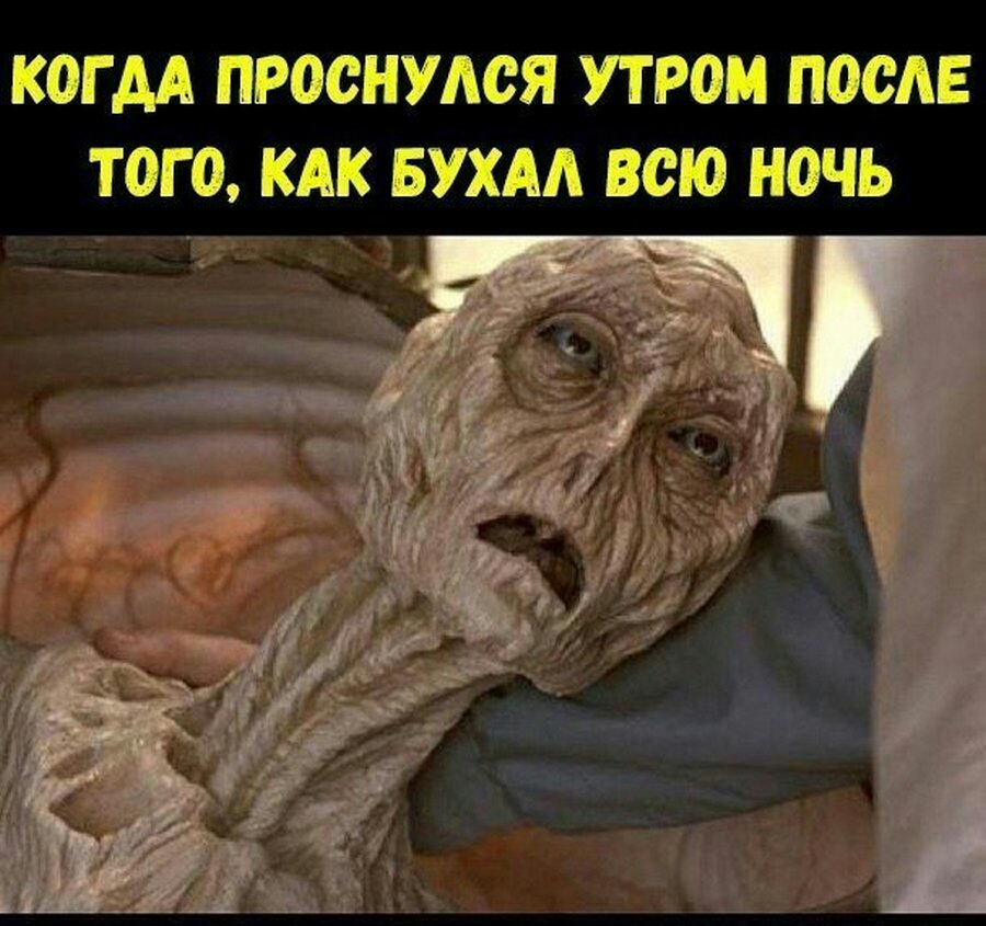 КОГ АА ПРОСНУМЗЯ УТРО ПОСЛЕ ТОГО КАК БУХАА ВСЮ Н0ЧЬ _ и