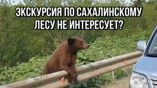 Р т т ЭКСКУРСИЯ ПП САХАЛИНСКОМУ ЛЕСУ НЕ ИНТЕРЕСУЕТ