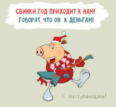 СВИНКИ ГОД ПРИХОДИТ К НАМ ГОВОРЯТ ЧТО ОН К дЕиЬГАМ Н1ПунцтЩИм